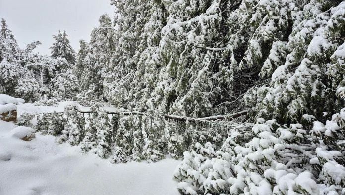 ��������� ��������� ���� ������� ������-��������� ������� ������������ ����