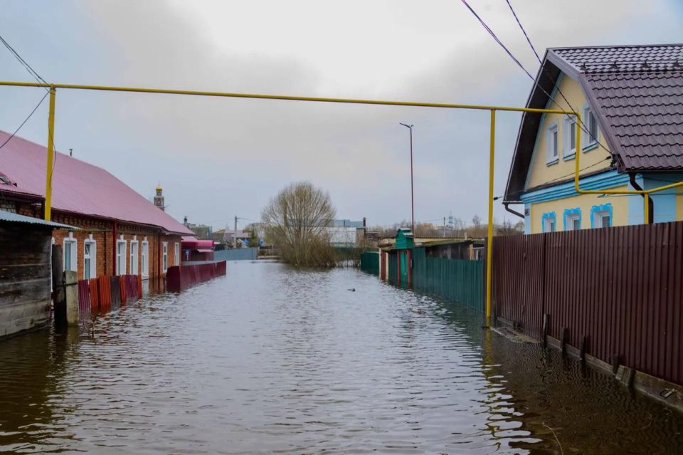 ����� ���������� ����� �� ���� ������ �������� ������������ �� ������� ���������� �������