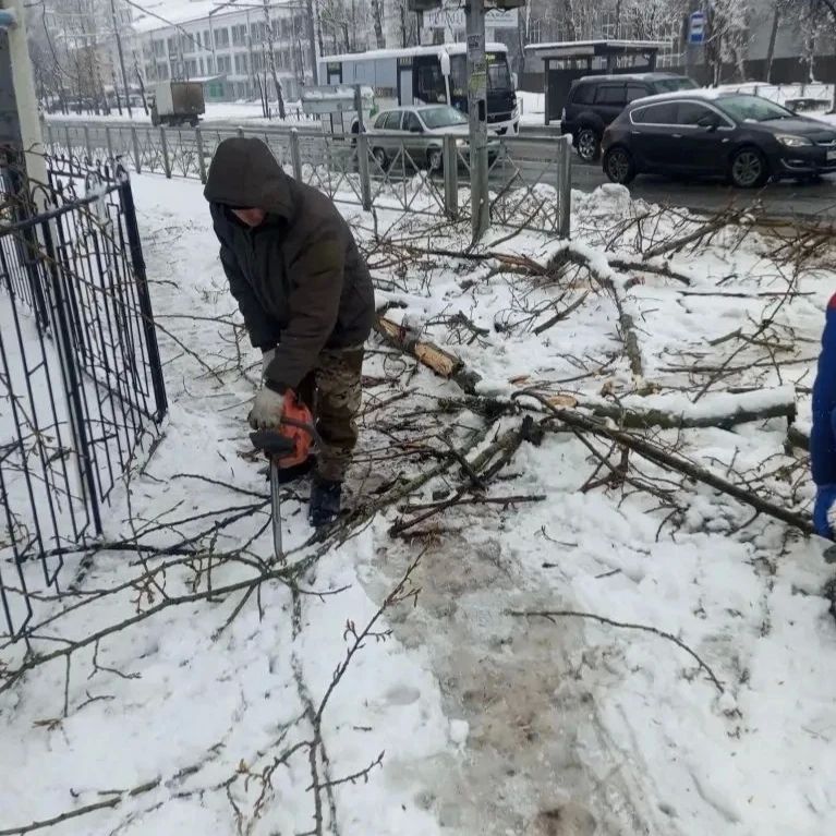 ������ ���� ������������ ������ �� ���������� ����������� ��������