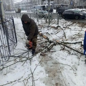 ������ ���� ������������ ������ �� ���������� ����������� ��������