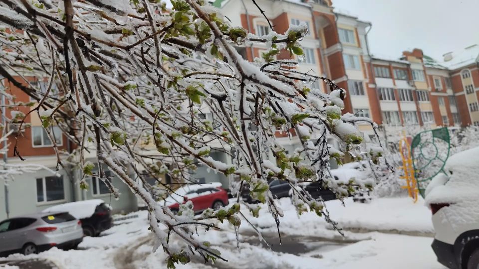 ����� ����������� ������� ����������� ������ � ����� ��