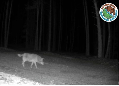 ����������� � ��������� ���� ����� ����������� �������� ������ �����