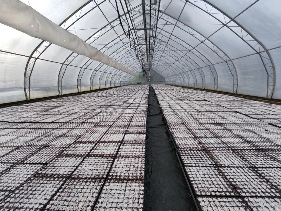 � ��������� ��������� ������������� ���� ������-��� ��������� ��������� ���� ����������� ����� ������������