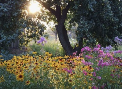 ������� ��������� ����� �� ����� � �������: ��� ���������� �������� ����� ��������