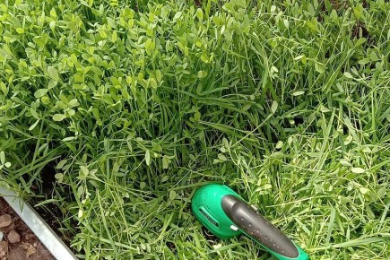 �������� ������: ������� �������� ����� � ��������� ������