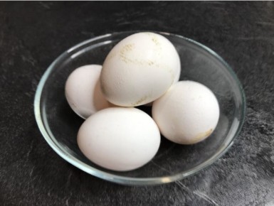 ����������� � ������: �������� ��� ���������� � ��� �������?