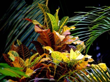 �������: ��� ������� ������������ ������ � ���� ����