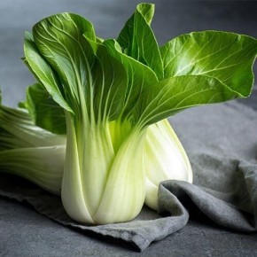 ���-���: ���� � ������� �������� � ���������� ������������