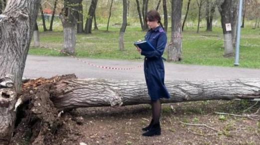 � ��� �� ����� ������� ������ �������� �������� �������