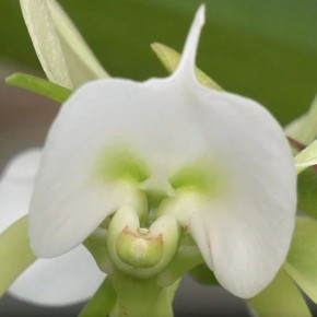 ������ ����! ����� ������� � ��� �� ���������