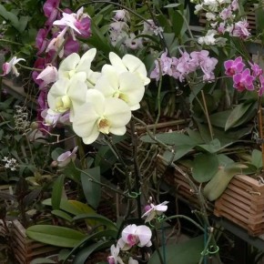 ������ ����! ������ ��� �������� � ������� ��������