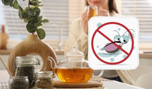 �� ������� ���������: ��� ����������� ������ �������� � ������ ��� �����������