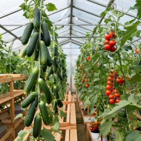 ��� ������� ������������� ������ � �������� � ����� �������