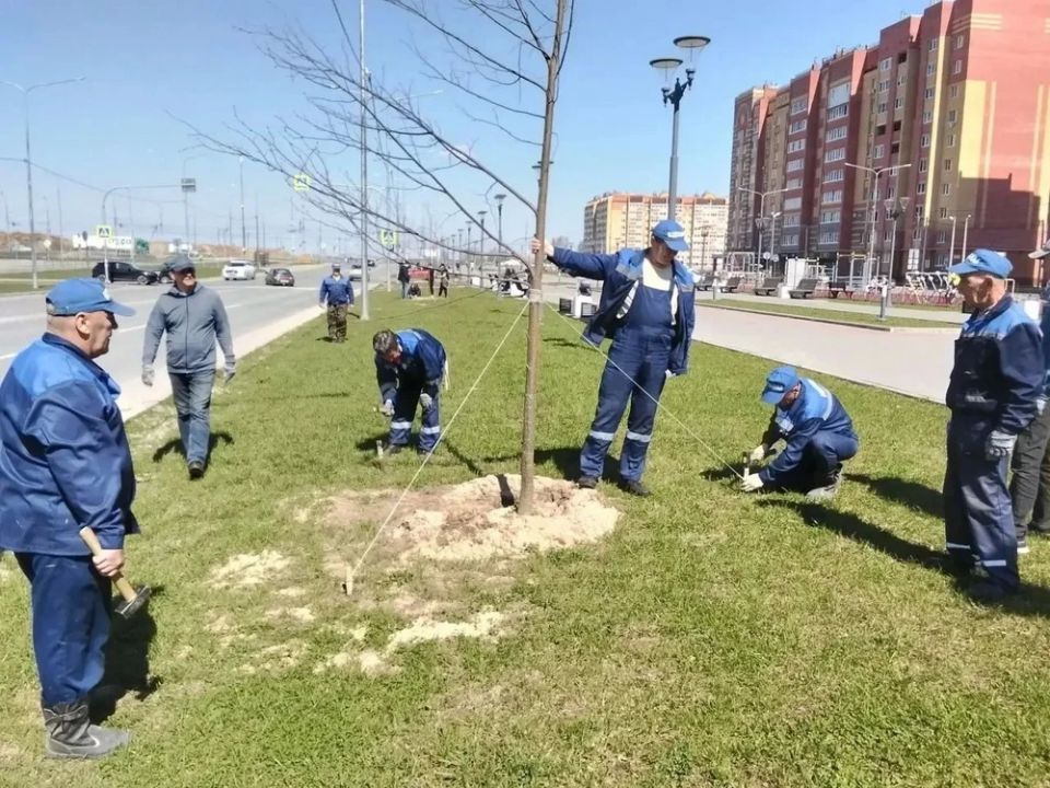 В Йошкар-Оле прошла экологическая акция по уходу за молодыми деревьями, высаженными в прошлом году В Йошкар-Оле прошла экологическая акция по уходу за молодыми деревьями, высаженными в прошлом году