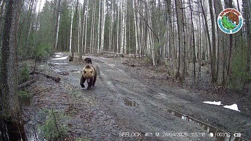 � ����� �� ����������� ����������� �������� ������� ������� ��������� � ����� �����������