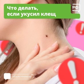������ � ������ ����� ��������� ������� �������
