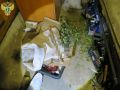 Жительница Морков обвиняется в причинении тяжкого вреда здоровью сожителя, повлекшем его смерть