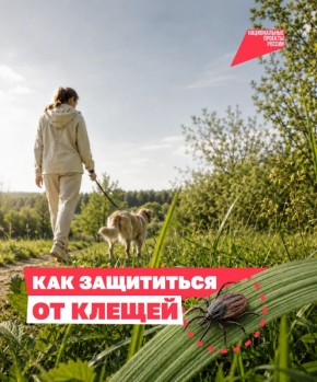 Клещи уже вышли на охоту. И встретить их можно не только в лесу