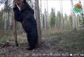 � ����������� �������� ������� � ����� �� ����������� ����������� ��������� �������