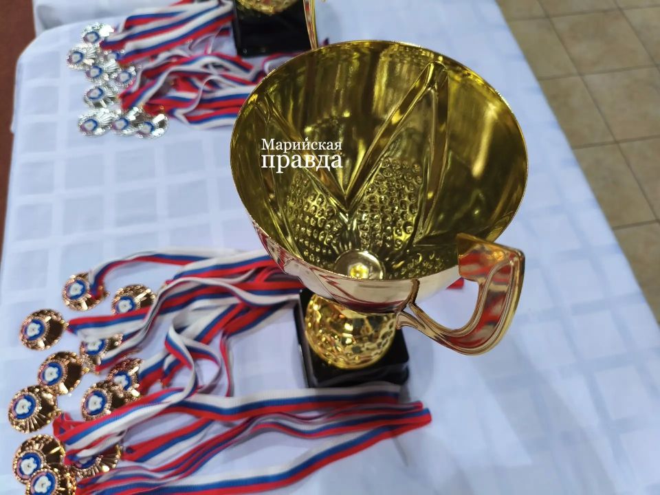 В Йошкар-Оле проходит десятая республиканская спартакиада «Белый мишка» В Йошкар-Оле проходит десятая республиканская спартакиада «Белый мишка»