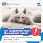 Обещают быстро избавить от всех долгов?
