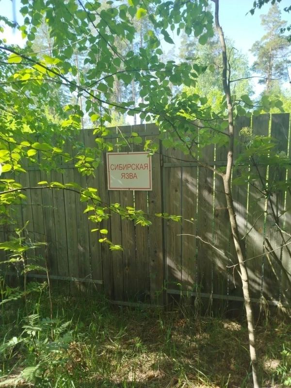 В Марий Эл проверили сибиреязвенные скотомогильники В Марий Эл проверили сибиреязвенные скотомогильники
