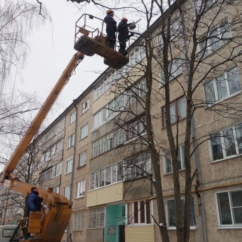 Обрезка деревьев в городских условиях: разбираем главные причины Обрезка деревьев в городских условиях: разбираем главные причины