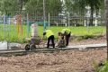 В сквере Семеновки стартовал третий этап благоустройства