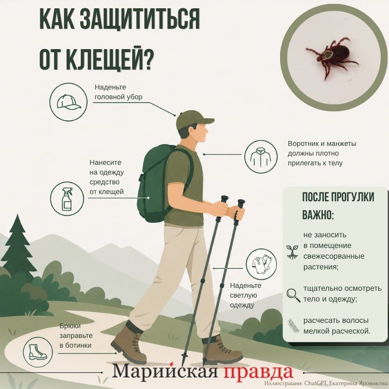 На 8 июня в медицинские организации Марий Эл обратились 659 человек, пострадавших от укусов клещей