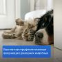 � ������-��� ������� ���������� ���������� ��������