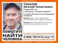 Поисковый отряд «ЛизаАлерт» в Марий Эл просит помочь с поиском 74-летнего Соколова Евгения Палантаевича