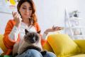 Почему коты не чувствуют вины и как они «извиняются»