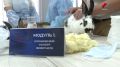 Лидия Никифорова представит Марий Эл на федеральном этапе Всероссийского конкурса профессионального мастерства «Лучший по профессии» в номинации «Ветеринарный фельдшер»