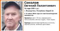 С субботы в Йошкар-Оле не могут найти 74-летнего пенсионера