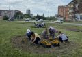 Студенты Йошкар-Олы высаживают цветы по всему городу