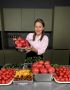 Сохраняя Лето: Как Превратить 25 КГ Помидоров и Огурцов в Вкусные Заготовки на Зиму