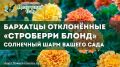�������� ���������� �����: ��� ������� �������� ��� �� ����� �������