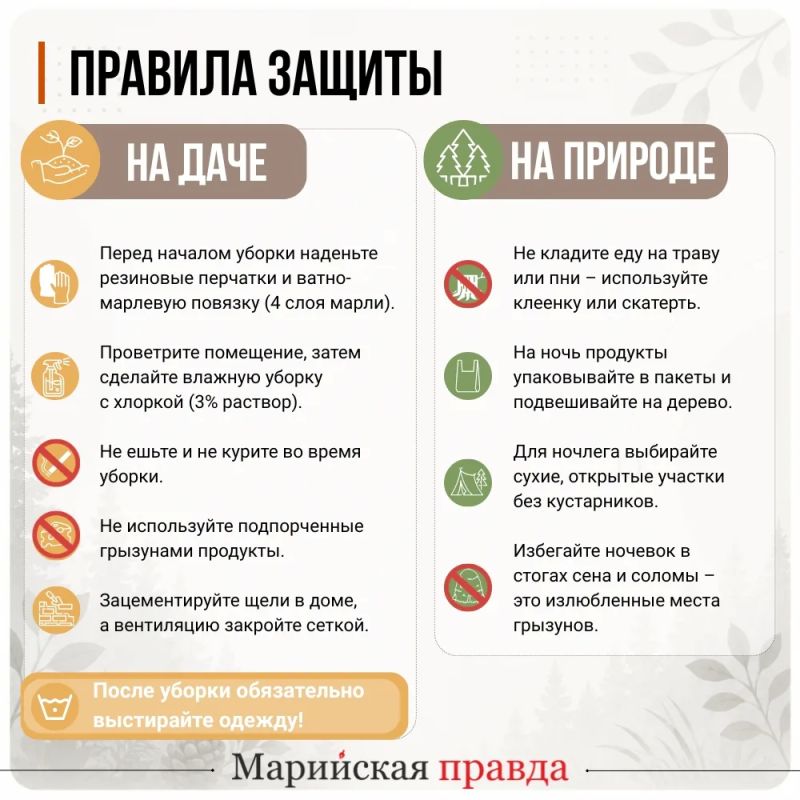 Мыши опасны!. За пять месяцев 2026 года в Марий Эл отмечен рост заболевания геморрагической лихорадкой с почечным синдромом (ГЛПС) в 1,5 раза по сравнению с тем же периодом прошлого года Мыши опасны!. За пять месяцев 2026 года в Марий Эл отмечен рост заболевания геморрагической лихорадкой с почечным синдромом (ГЛПС) в 1,5 раза по сравнению с тем же периодом прошлого года