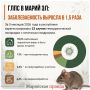 Мыши опасны!. За пять месяцев 2026 года в Марий Эл отмечен рост заболевания геморрагической лихорадкой с почечным синдромом (ГЛПС) в 1,5 раза по сравнению с тем же периодом прошлого года