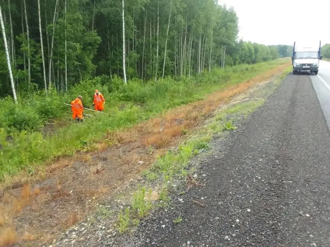 В Юринском округе Марий Эл дорожные рабочие расчищают трассу Р-177 «Поветлужье» от валежника В Юринском округе Марий Эл дорожные рабочие расчищают трассу Р-177 «Поветлужье» от валежника