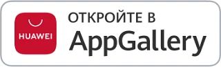 Более 6800 жителей Йошкар-Олы поддержали концепцию проекта «Город-лес»