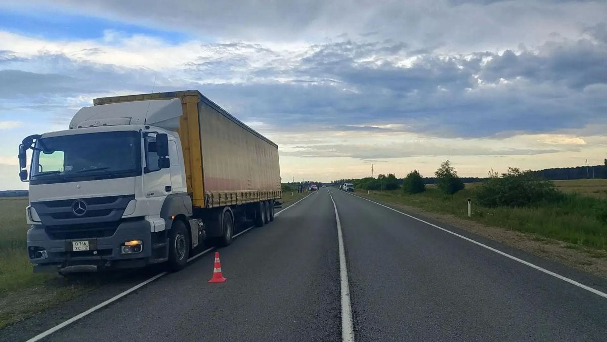 На Оршанском тракте в ДТП погиб водитель мотоблока