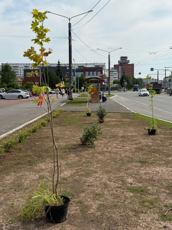 Подошли к самому живописному этапу благоустройства Воскресенского проспекта Подошли к самому живописному этапу благоустройства Воскресенского проспекта