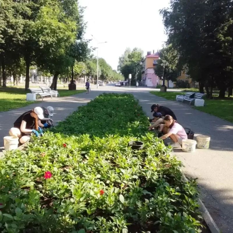 Цветочное сердце нашего города