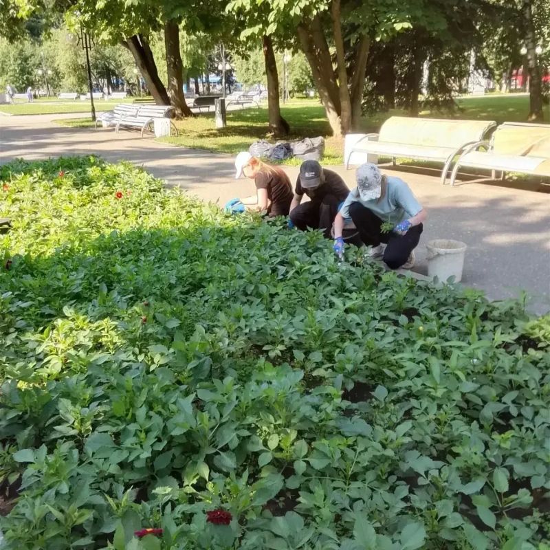 Цветочное сердце нашего города Цветочное сердце нашего города
