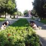 Цветочное сердце нашего города