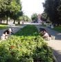 В Йошкар-Оле продолжается работа по оформлению городских пространств цветами