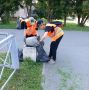 Лето — время не только отдыха, но и труда!