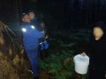 В Марий Эл спасатели вывели из леса заблудившуюся женщину с двумя детьми