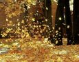 ����� �������� ���������: ��� ������� ��������� � ����